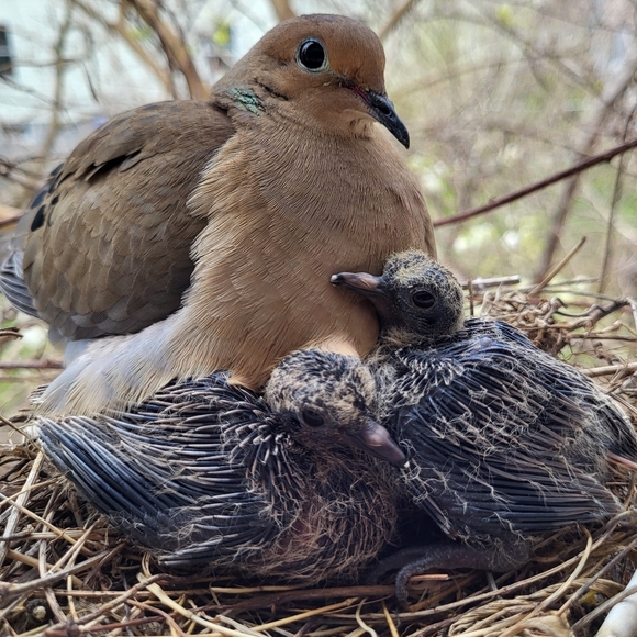 PLSreadBEFOREbuying! - Picture 7 of 13